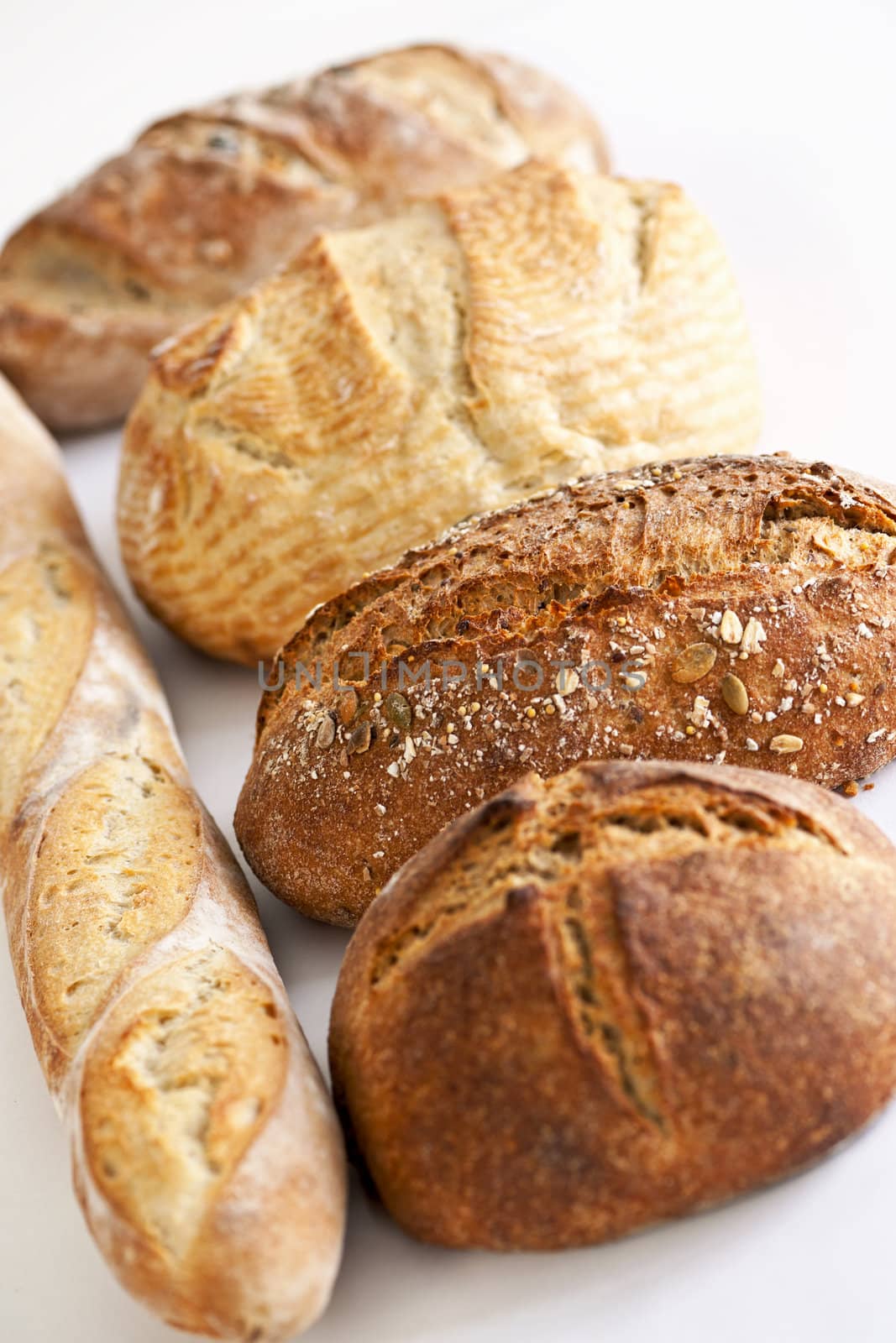 Assorted kinds of fresh baked bread in a row