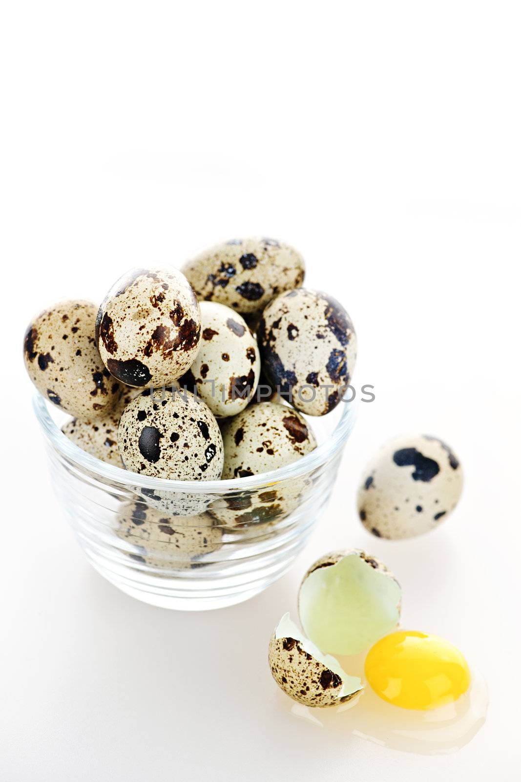 Many small speckled quail eggs with one broken egg