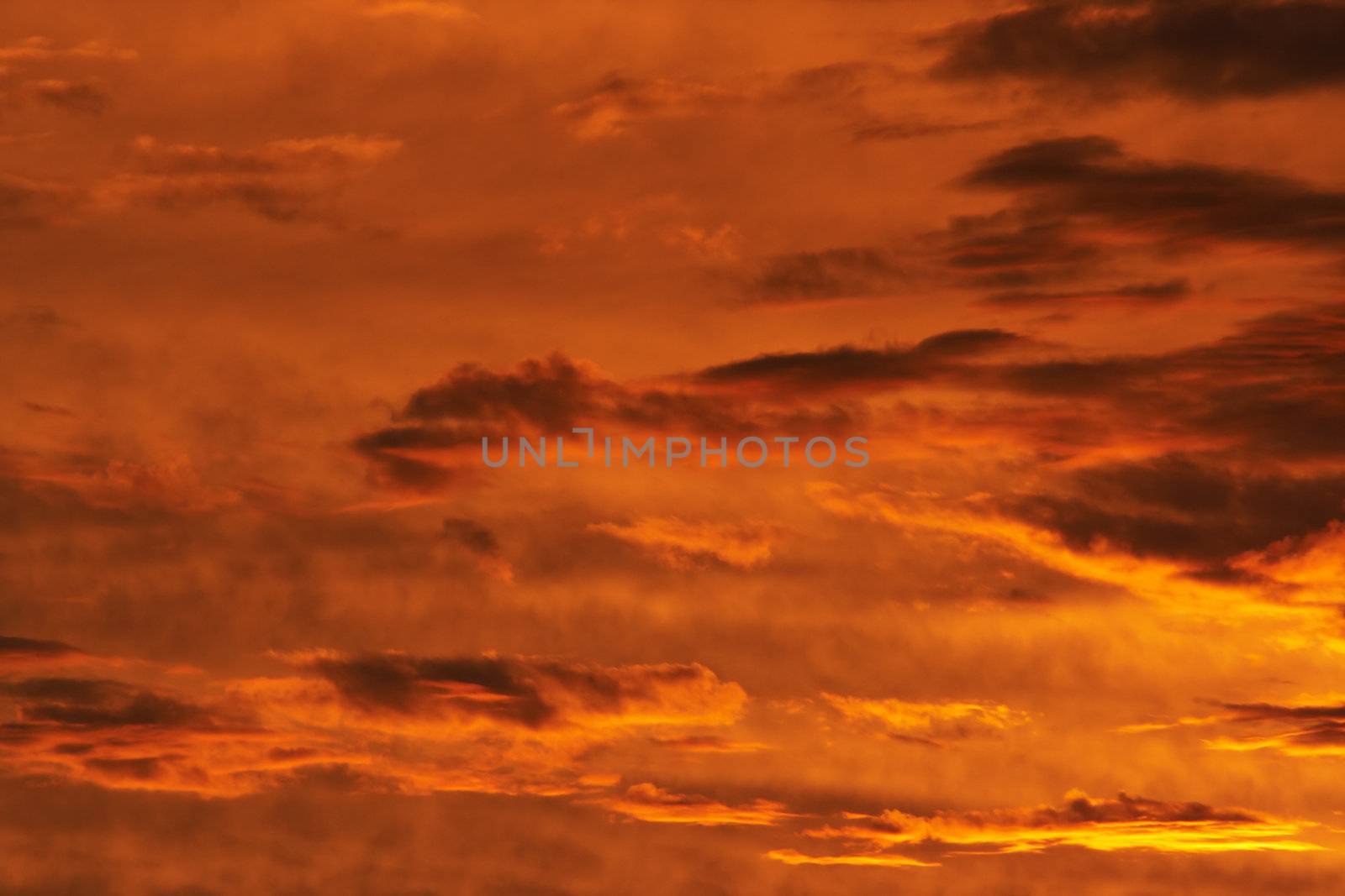 Shot of the rosy sky - gloaming