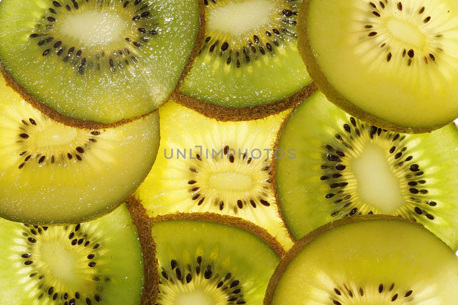 kiwi........................