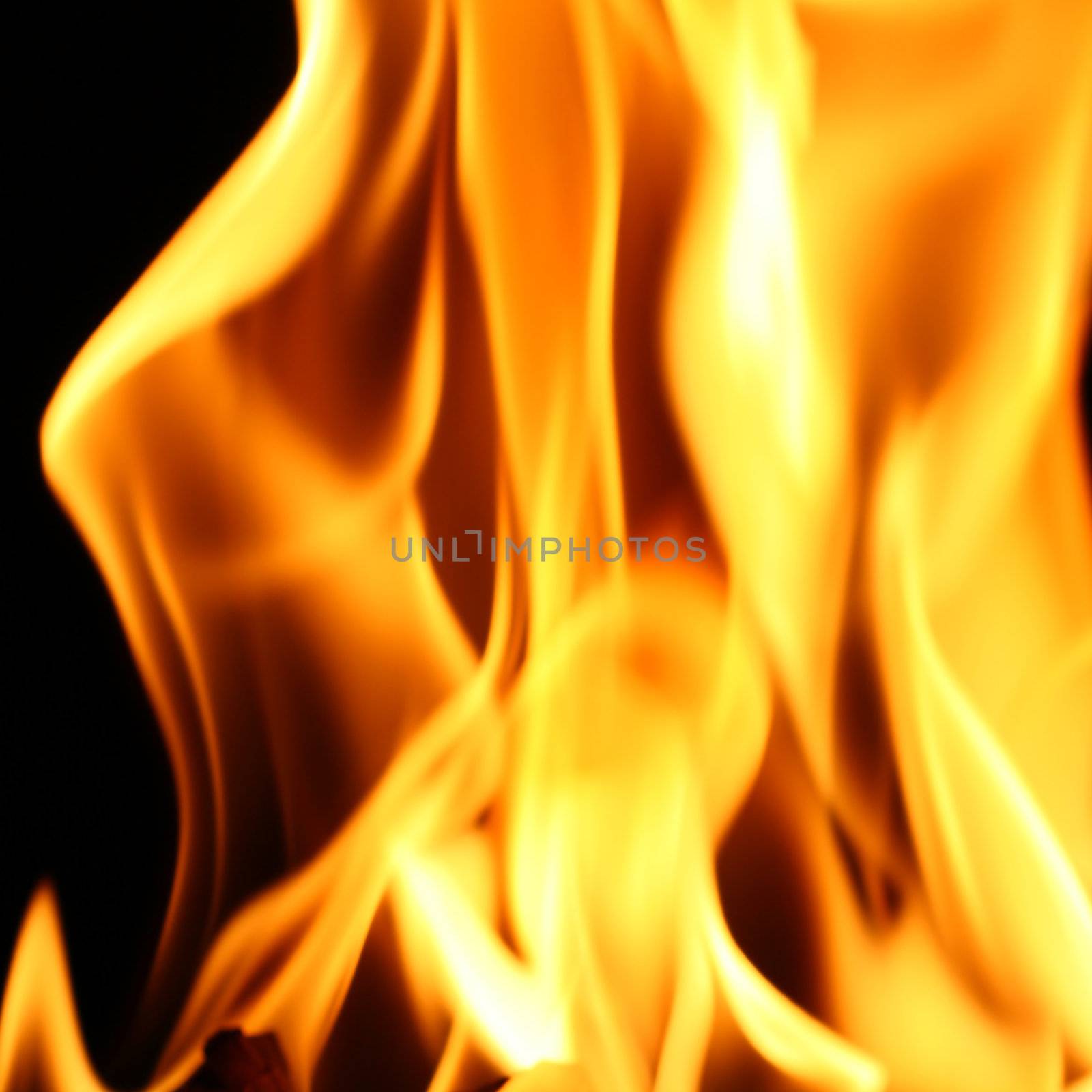 fire flame close up on black background