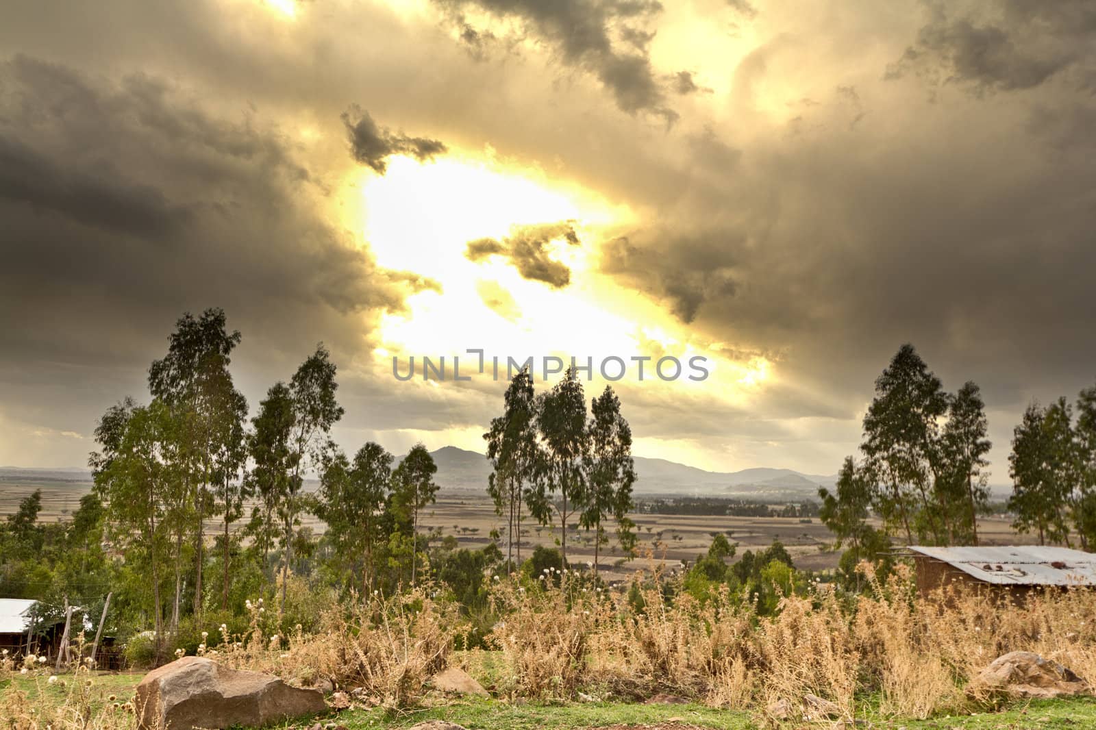 Ethiopian rural landscape by derejeb