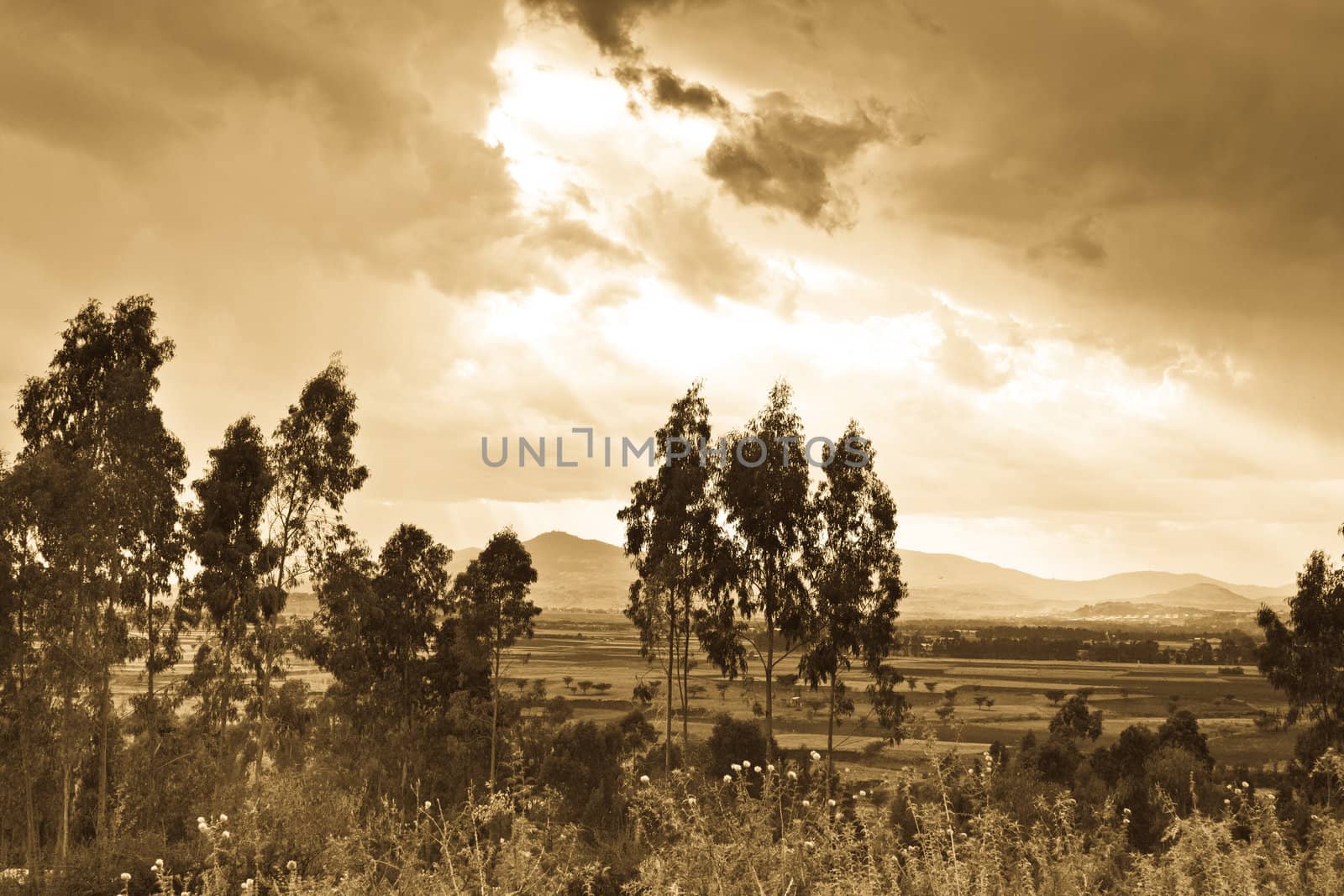 A rural landscape in a small village with trees and shrubs in the foreground and mountains in a distance