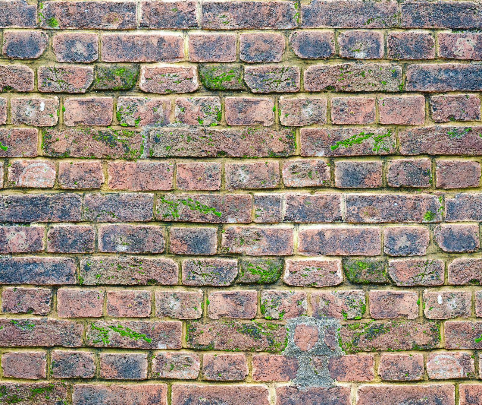 weathered brick wall with various shades of brick. Rough mortar is visible.