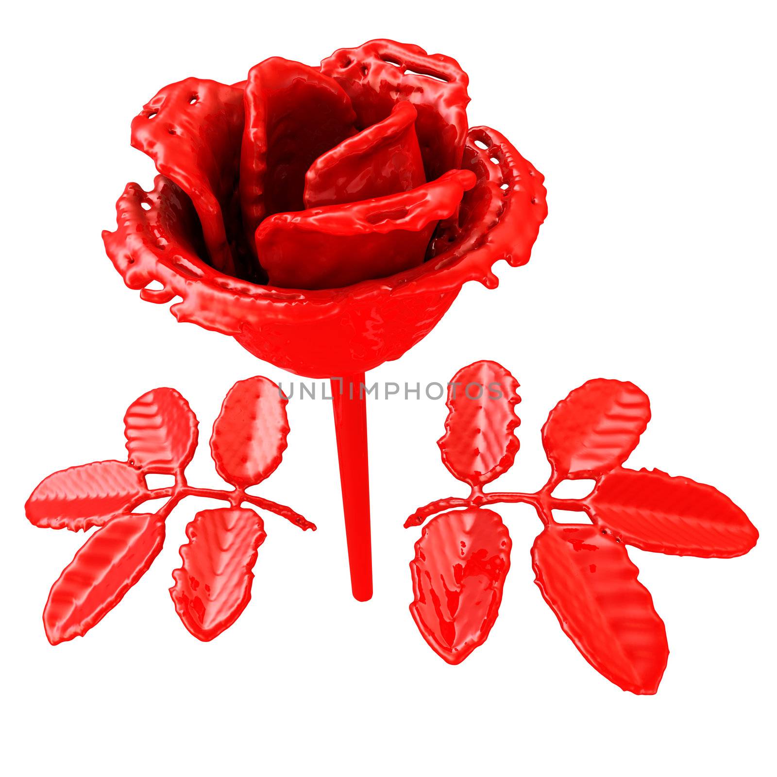 Red rose of the paint. Isolated on white background