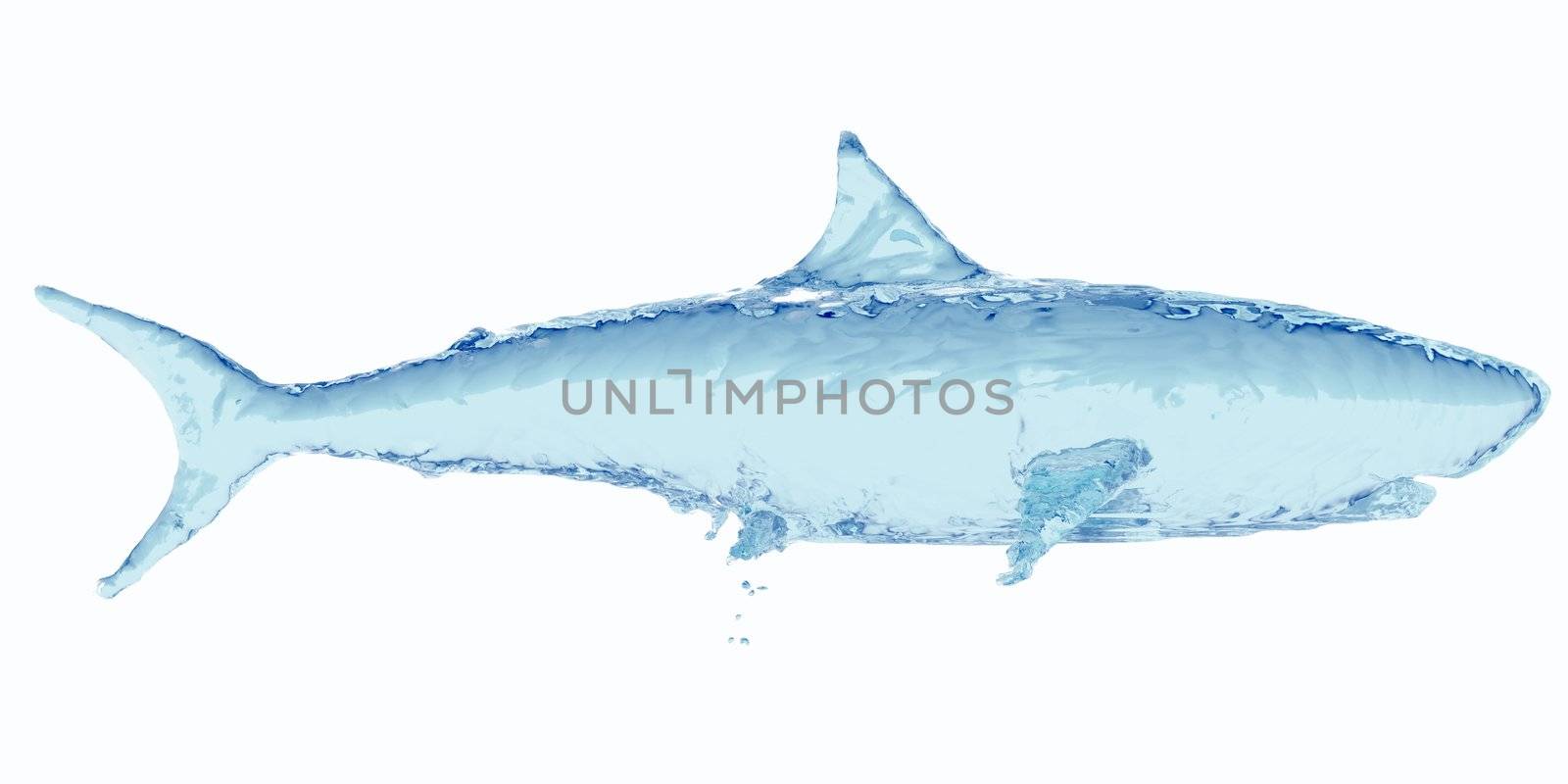 Water shark. 3d rendering
