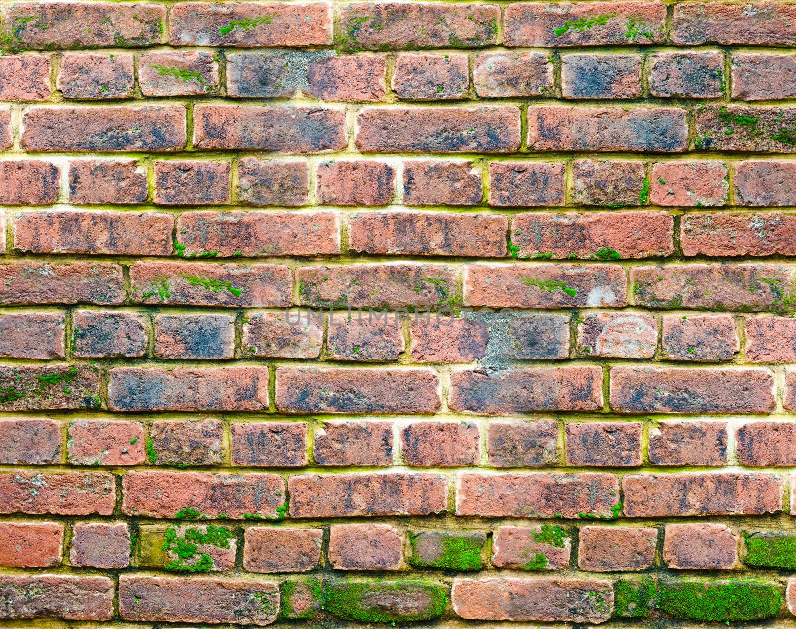 Ancient brick wall by Sergieiev