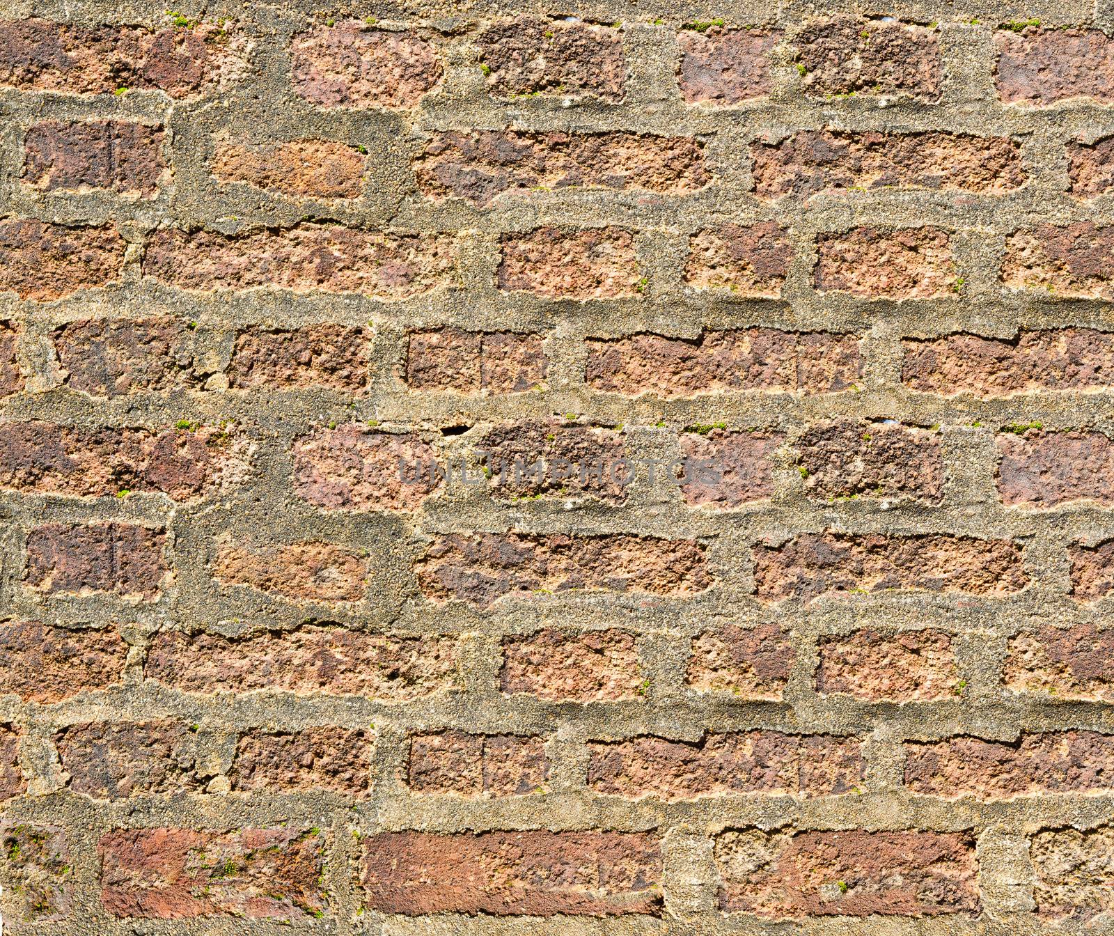 weathered brick wall with various shades of brick. Rough mortar is visible.