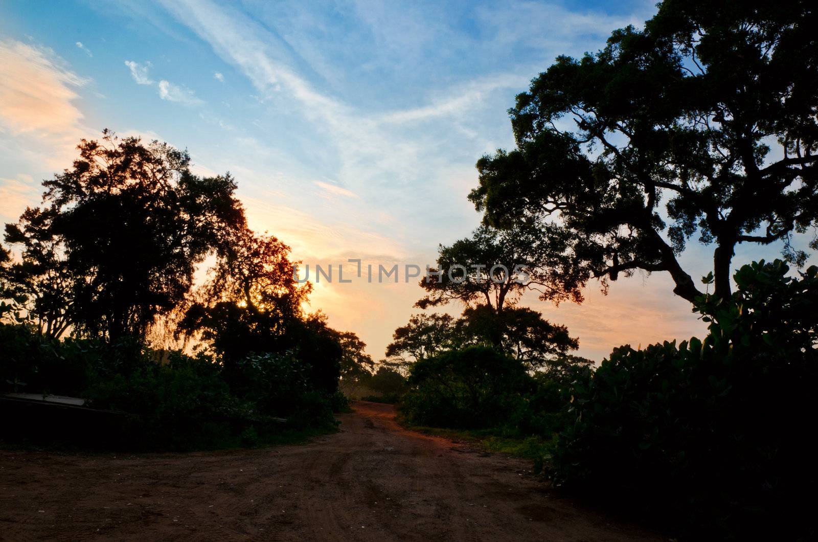 car on a dirt road equatorial countries