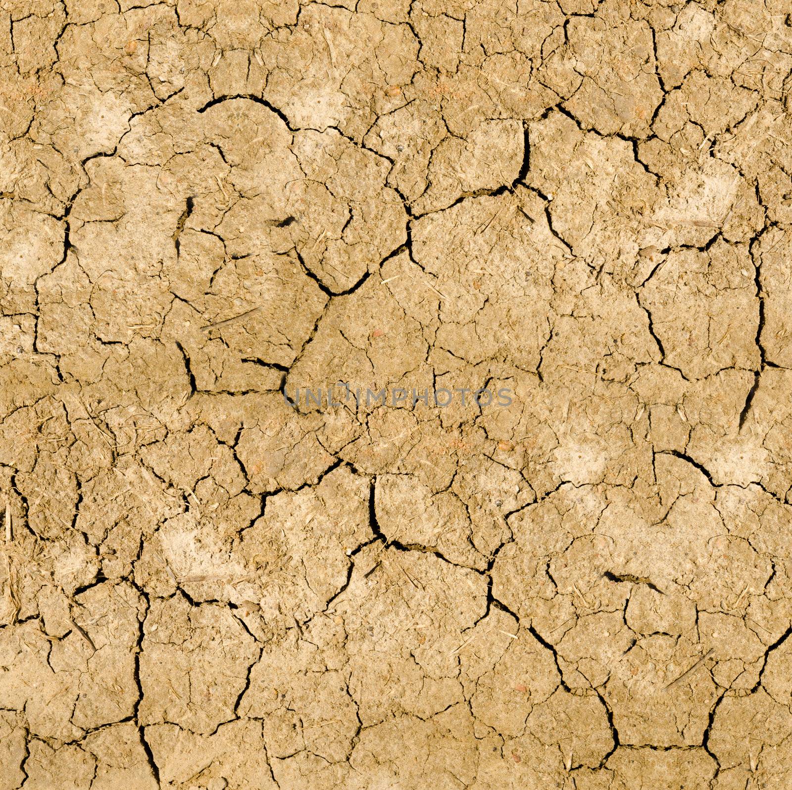 Clay soil with cracks without water. soil erosion