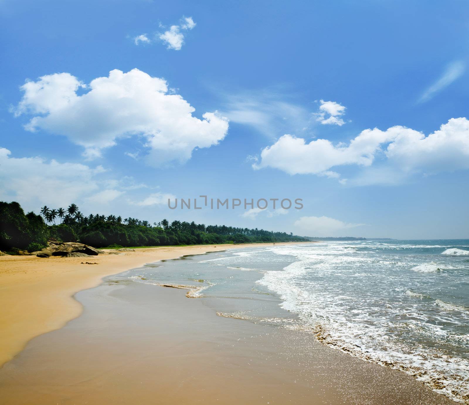 sandy deserted beach on a tropical island