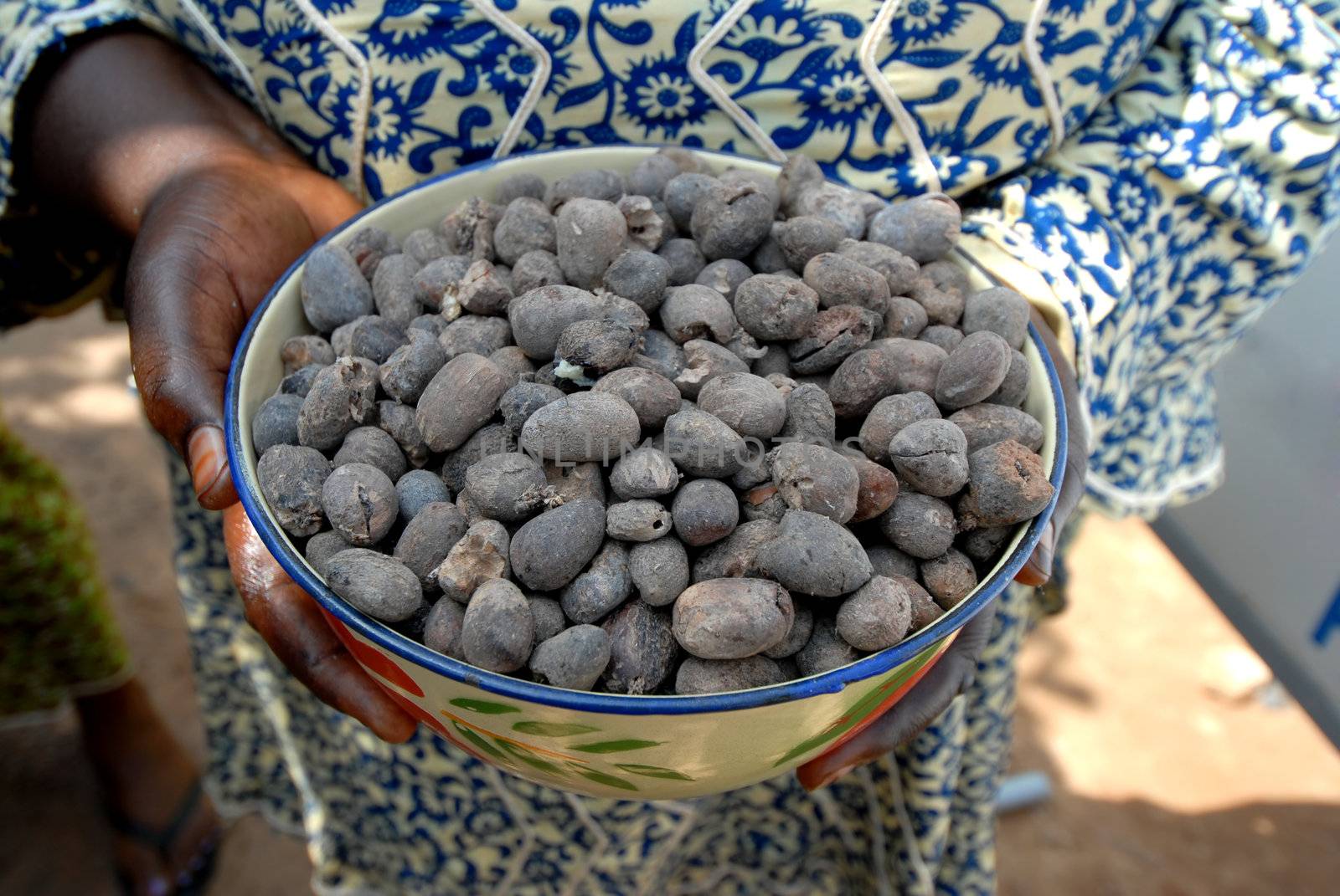 the nut of the shea butter