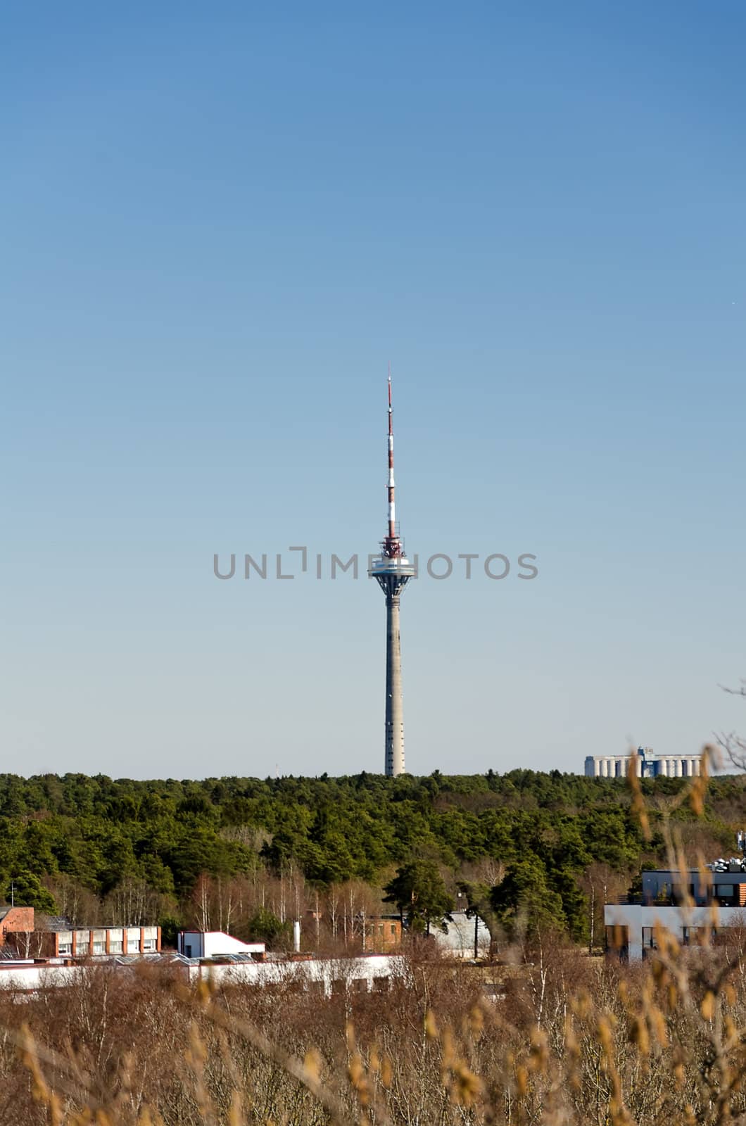 Tallinn TV tower. 314 meters long. Total tower weight is approximately 20,000 tons