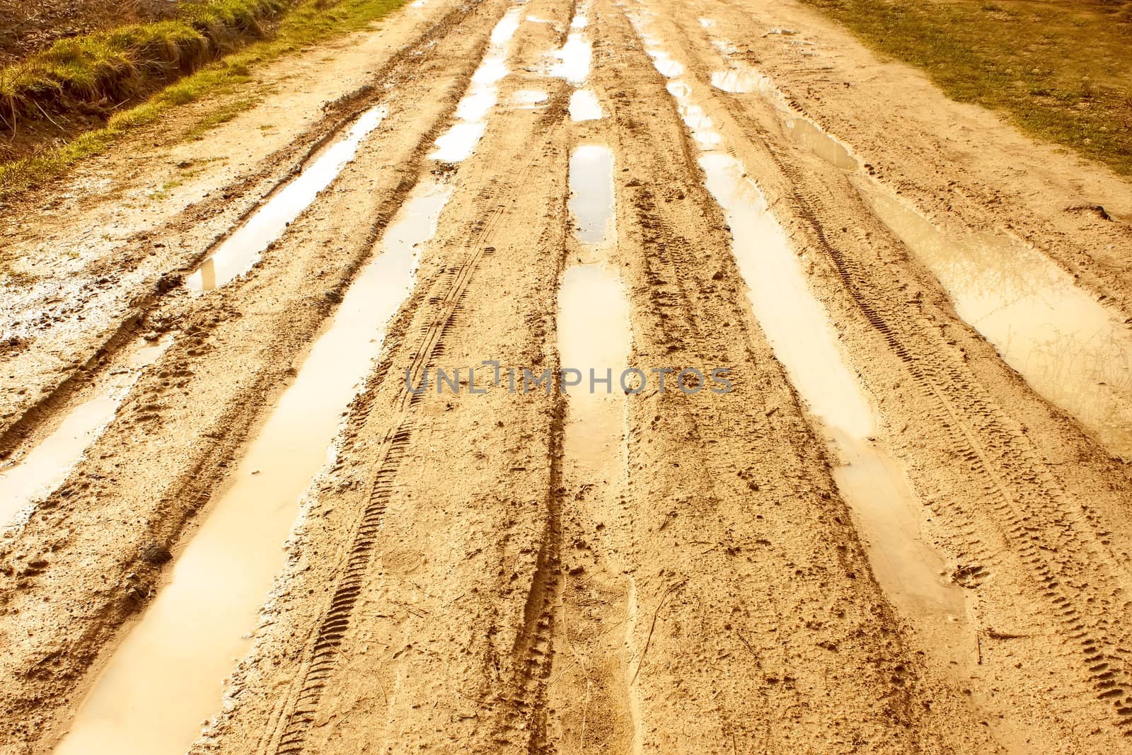 Sandstone covered rural road after the rain with wheels traces filled with water