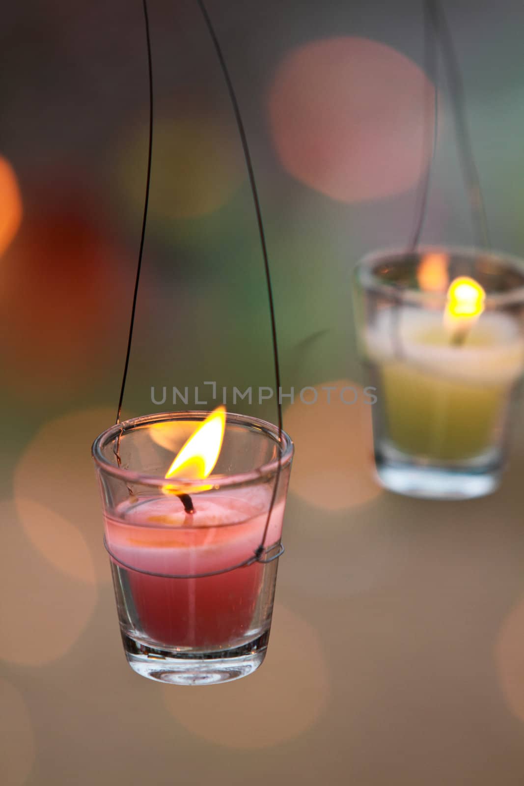 Glass candle on tree branch