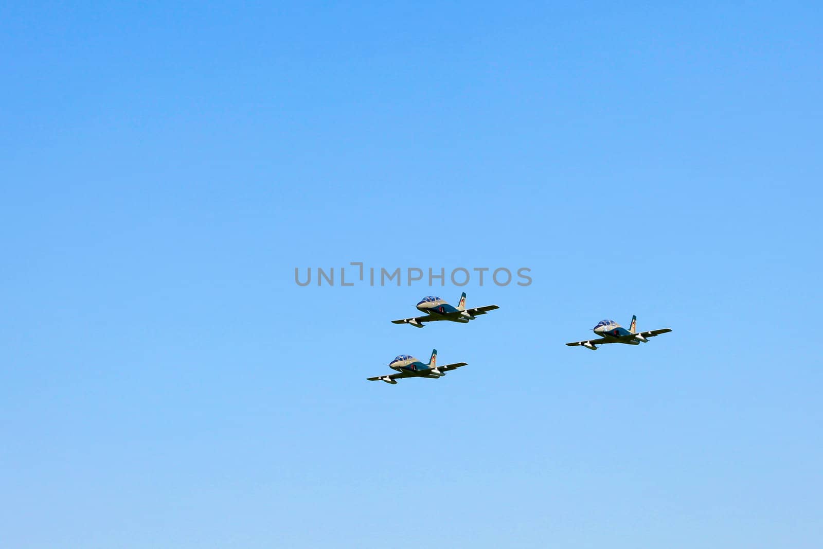 Romanian IAR 99 Soim plane flying