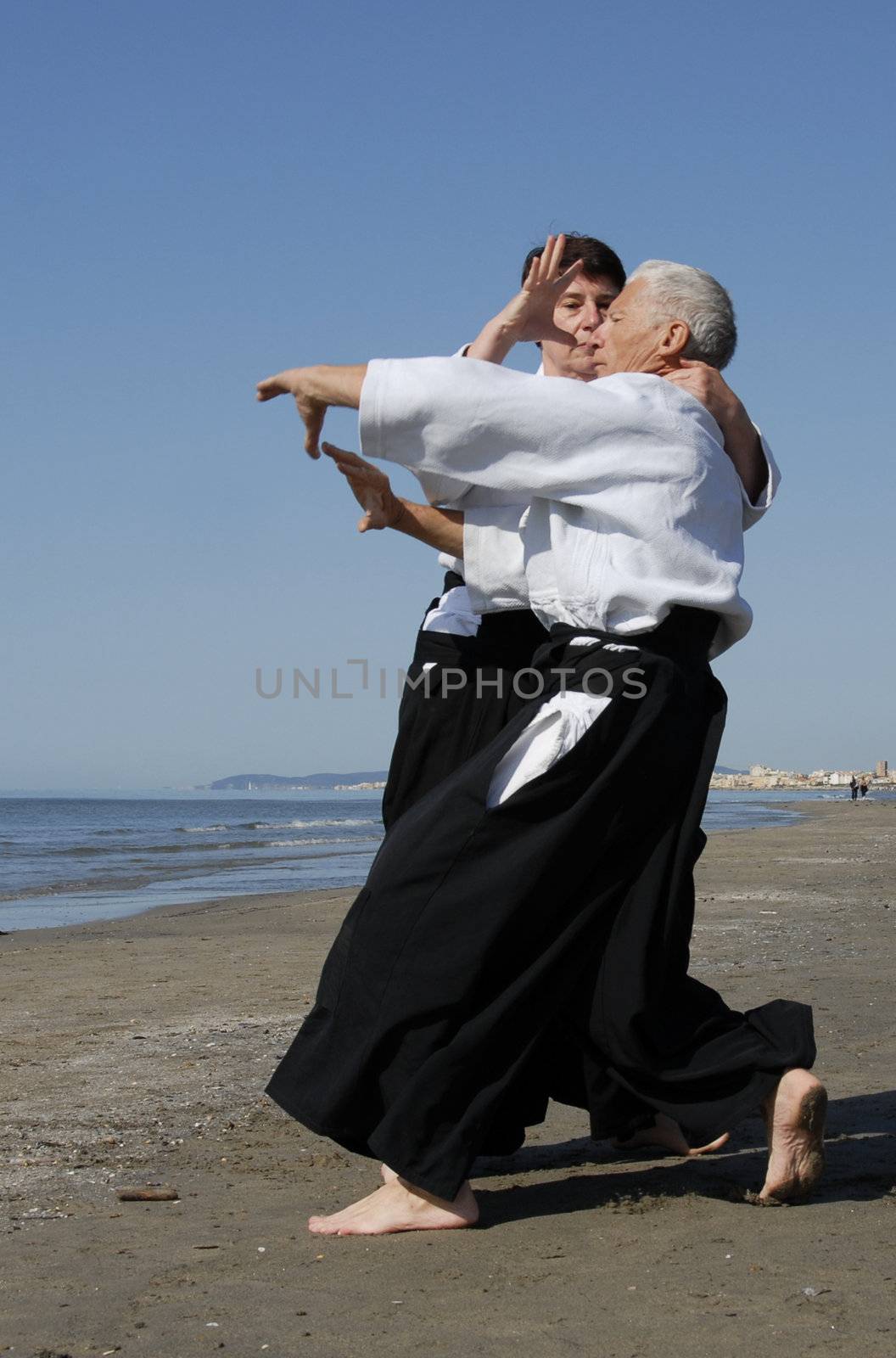 training of Aikido by cynoclub