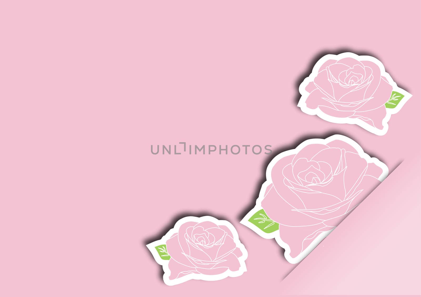 Greeting card with pink roses vector illustration