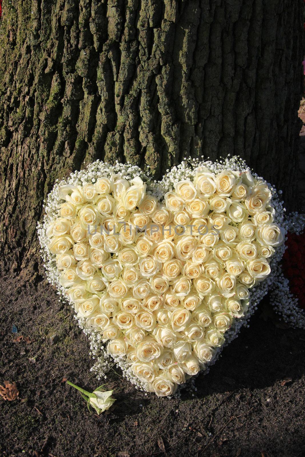 A sympathy flower arrangement in a heart shape, white roses