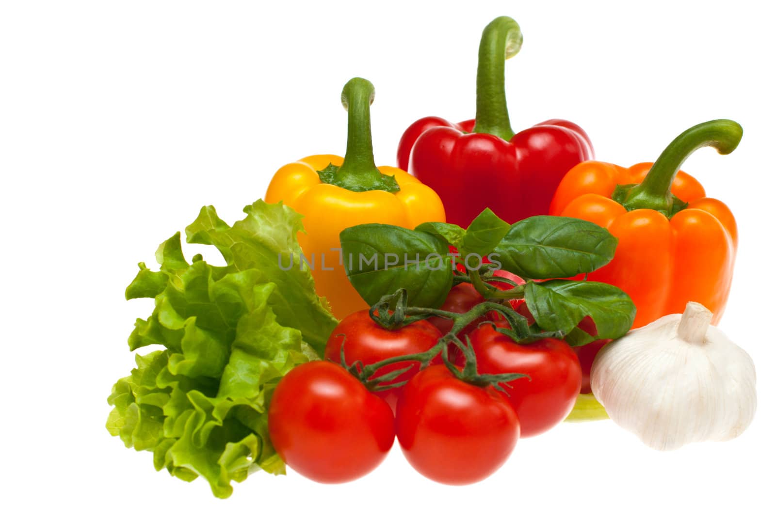 Tomatoes, garlic, lettuce, peppers, basil shot on a white background.