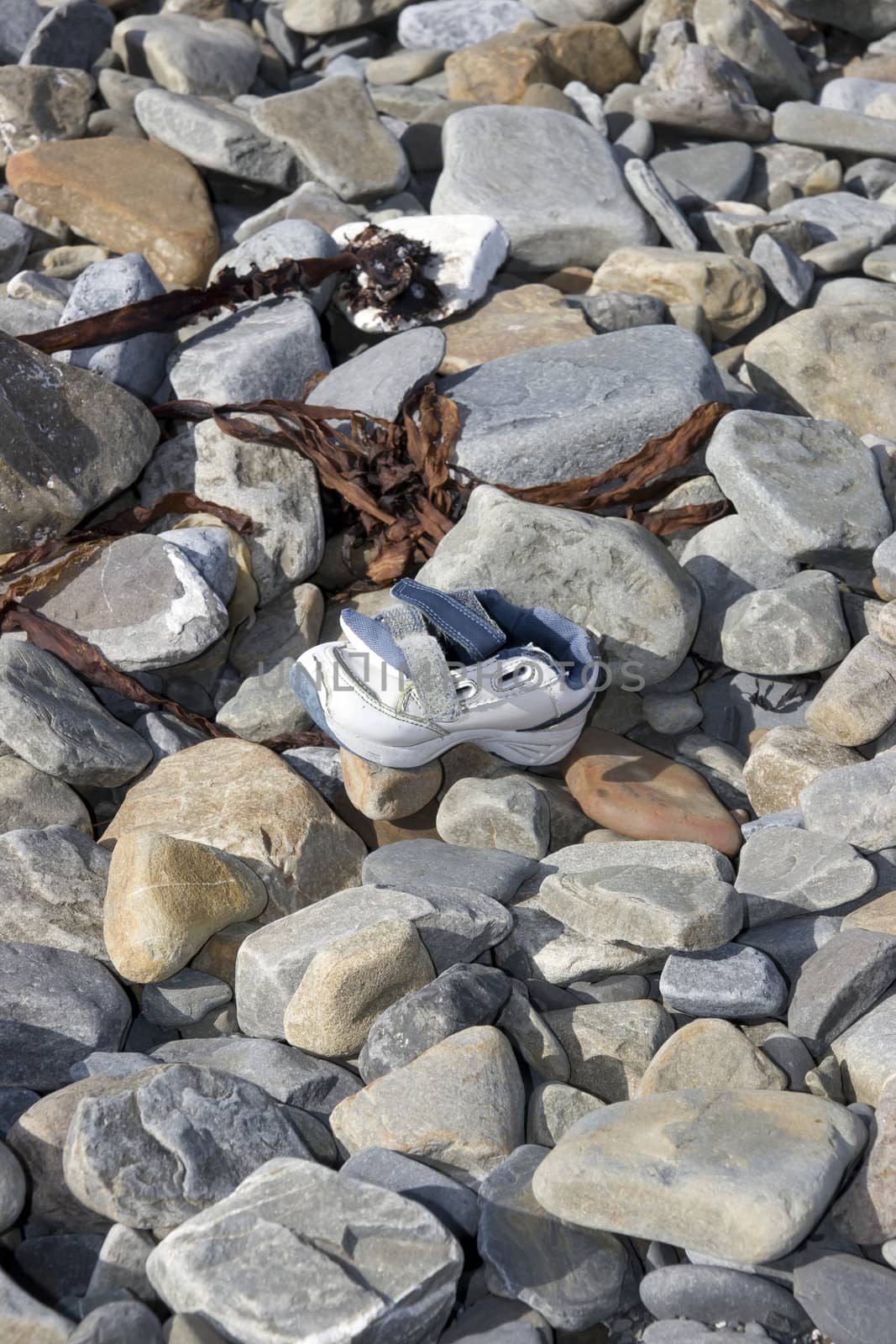 abandoned running shoe on a rocky beach by morrbyte