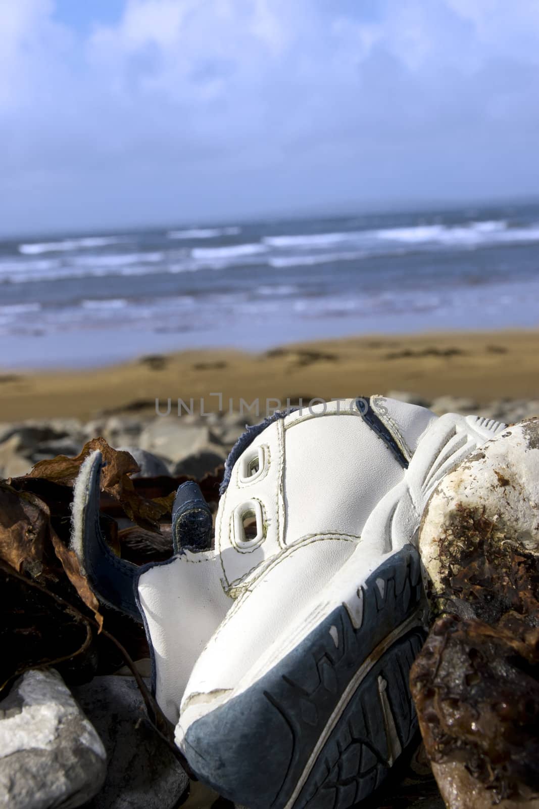 abandoned running shoe on a rocky beach in Ireland by morrbyte