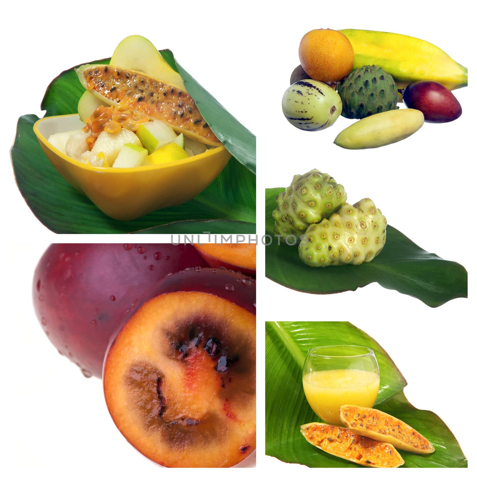 collage of the tropical fruit on white background