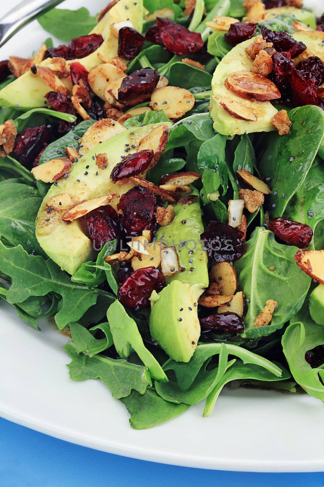 Healthy spinach and arugula salad with cilantro, dried cranberries, spiced almonds and avocados served with a lite vinaigrette.
