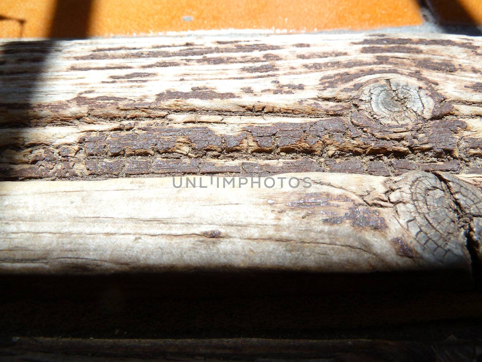 weathered wood by gazmoi