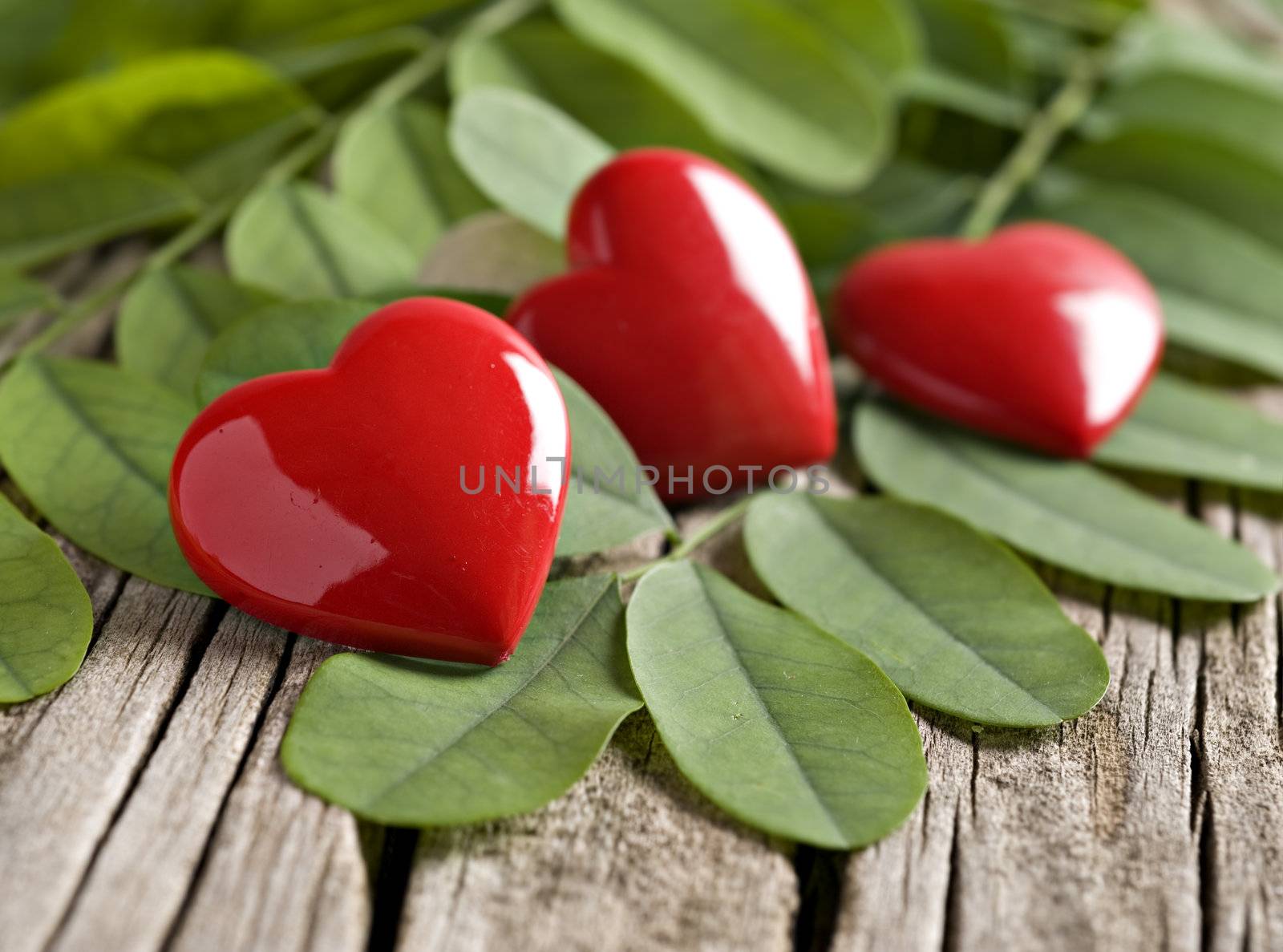 Red heart ornaments on green leaves by tish1