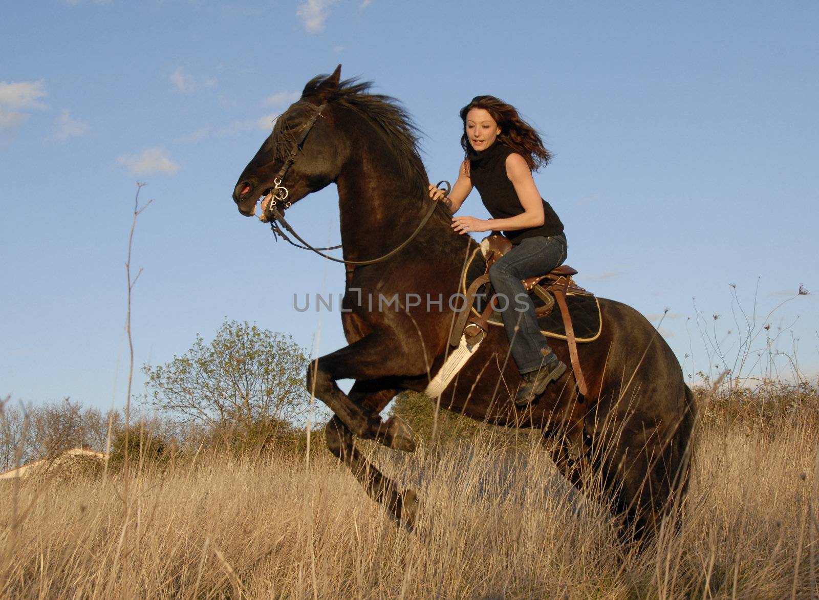 rearing dangerous stallion and young woman in a field