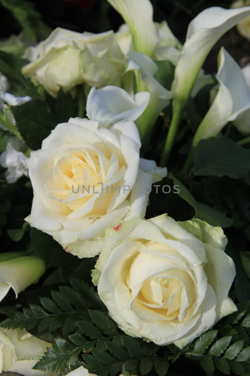 White roses in a floral arrangement by studioportosabbia