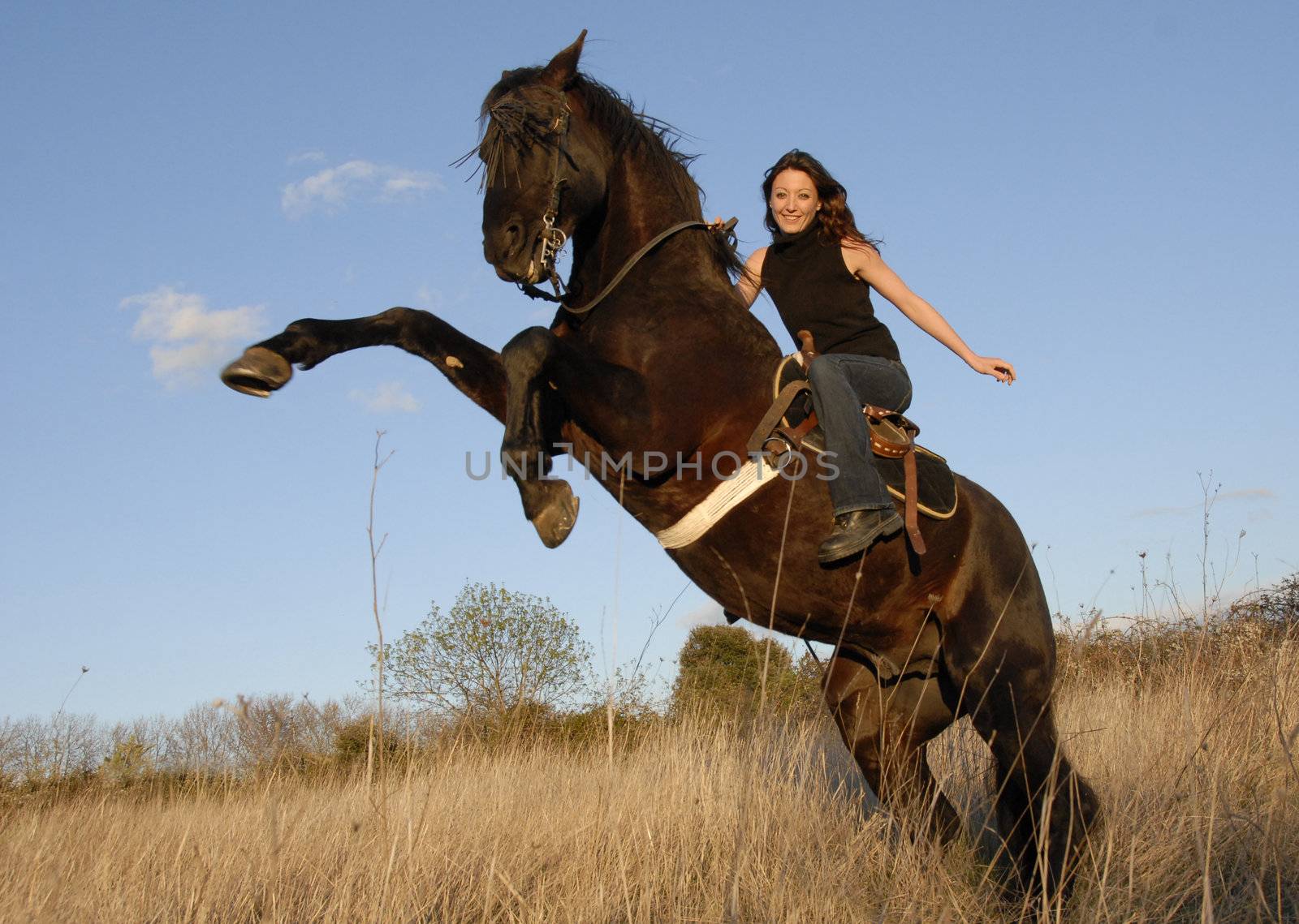 rearing black stallion and happy young woman in a field