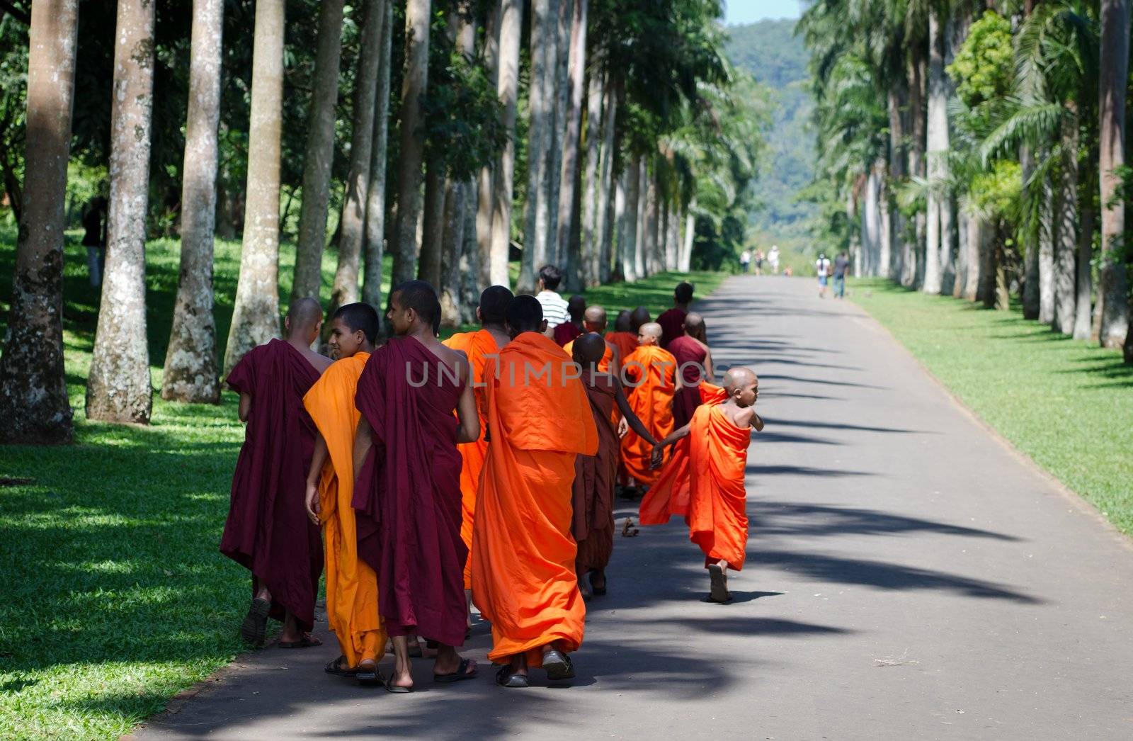 Buddhism children monks in a park by iryna_rasko