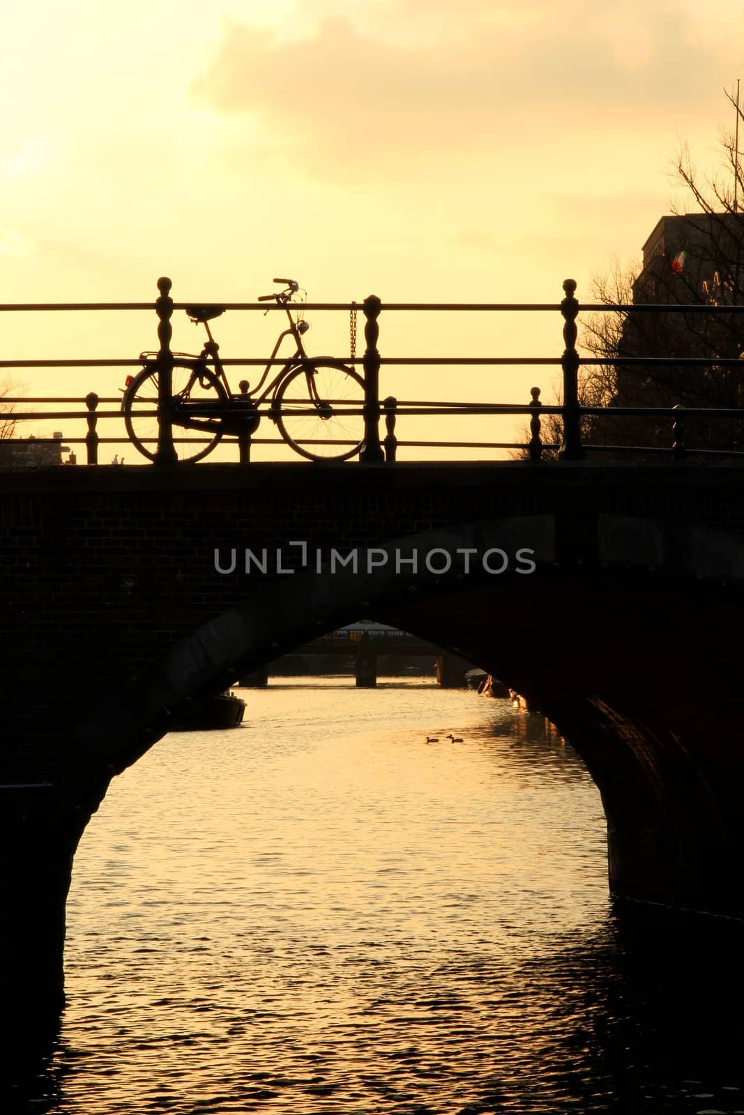 Bicycle Silhouetted on a Bridge over a Canal in the late Afternoon Sun in Amsterdam. Portrait Orientation.