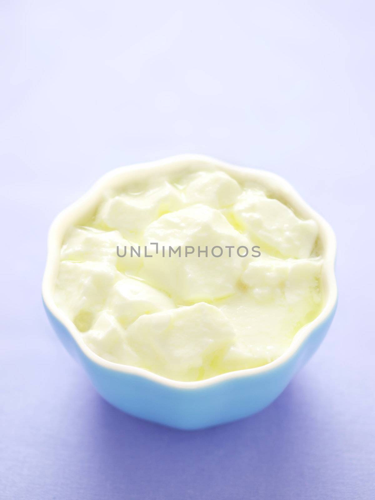 close up of a bowl of yogurt