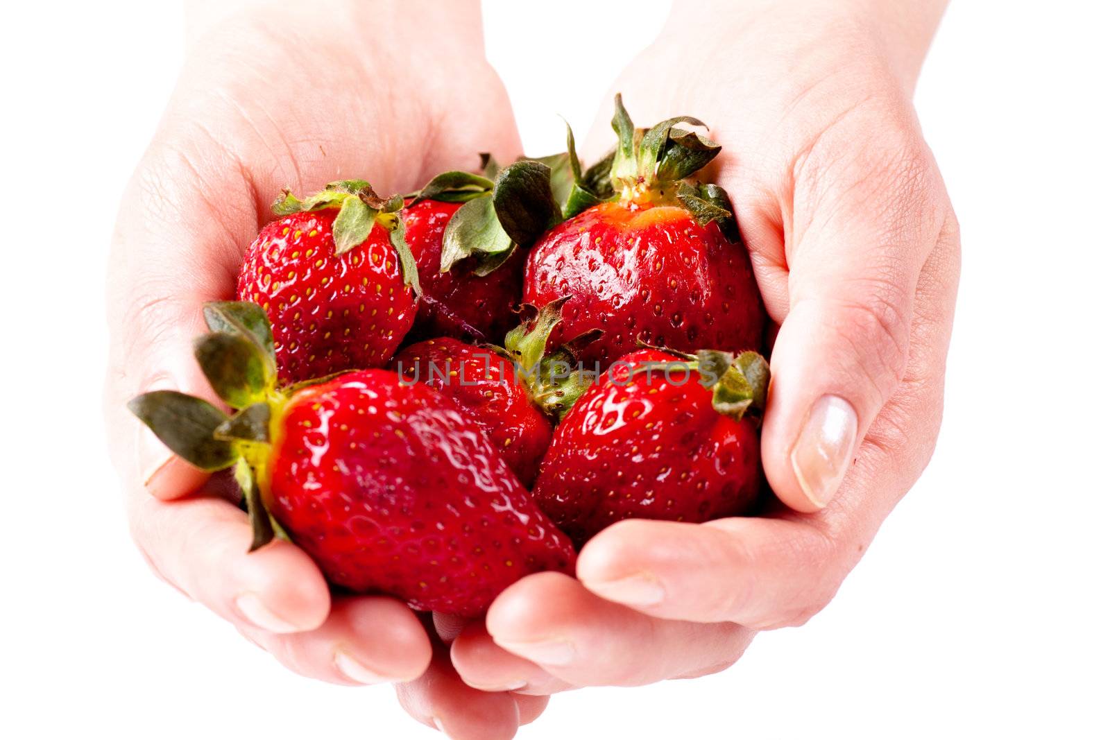 Woman hands holding heap of fresh strawberries