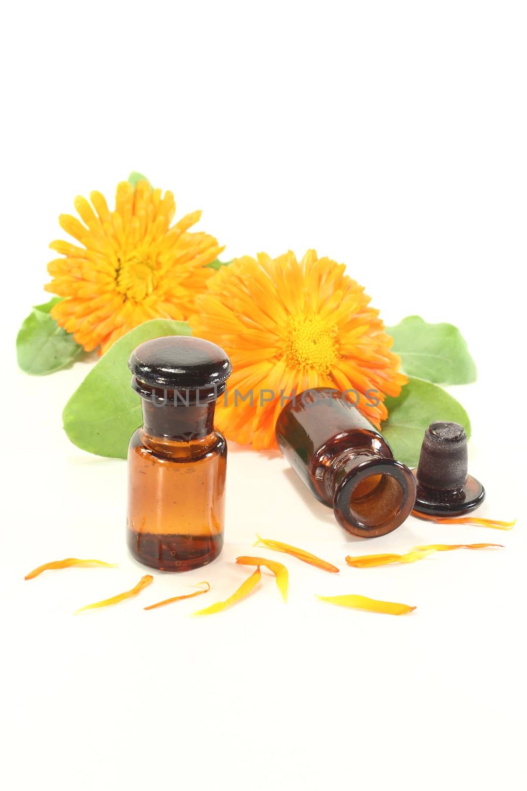 Marigold tincture with fresh calendula flowers and leaves on a light background