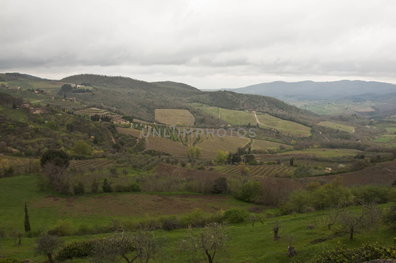 farmland and countryside in Chianti, Tuscany, Italy