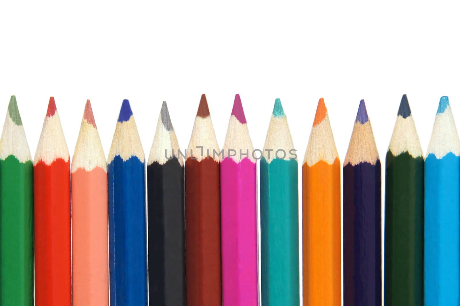 A row of multi colored pencils isolated on white background