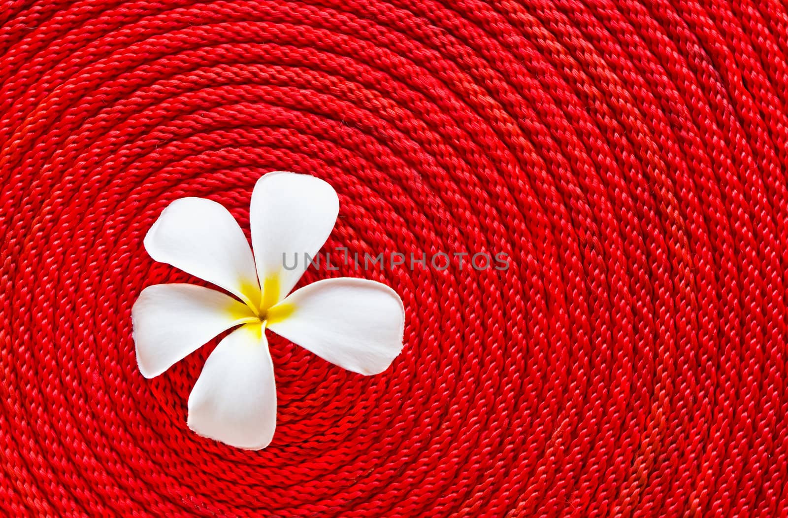 Lan thom flower on roll red rope