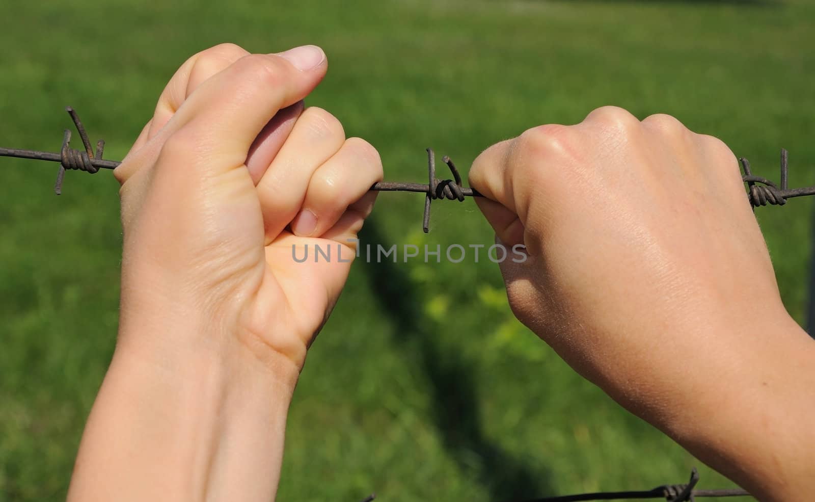 woman hands on  barbwire