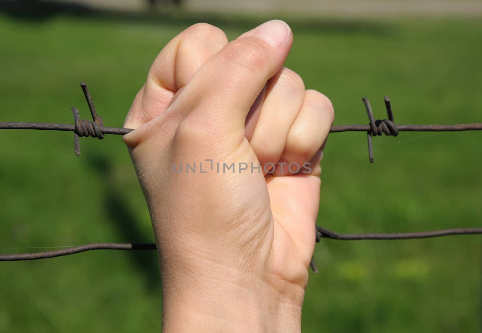 rusty  barbwire in woman hand 