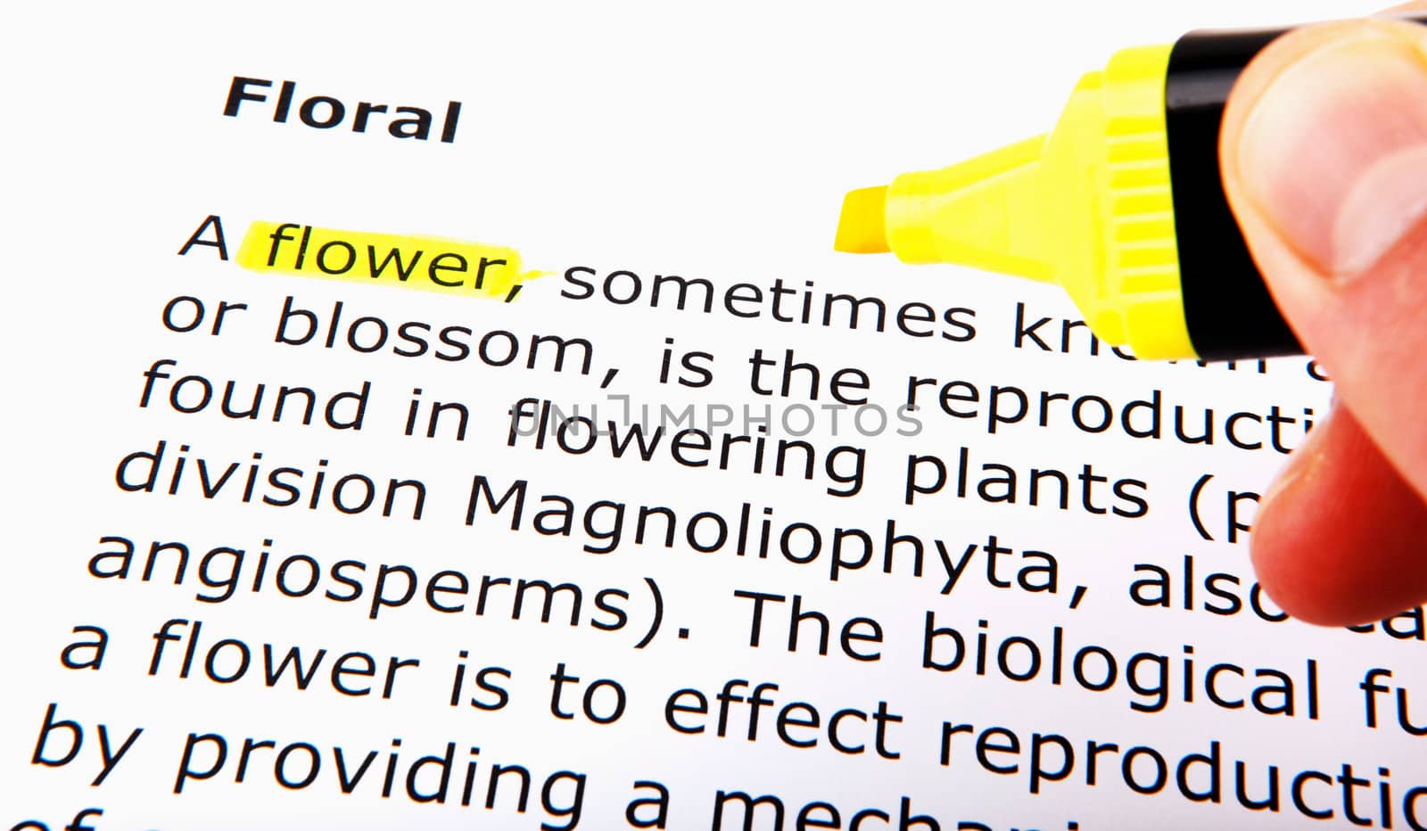 Text highlighted in yellow with felt tip pen