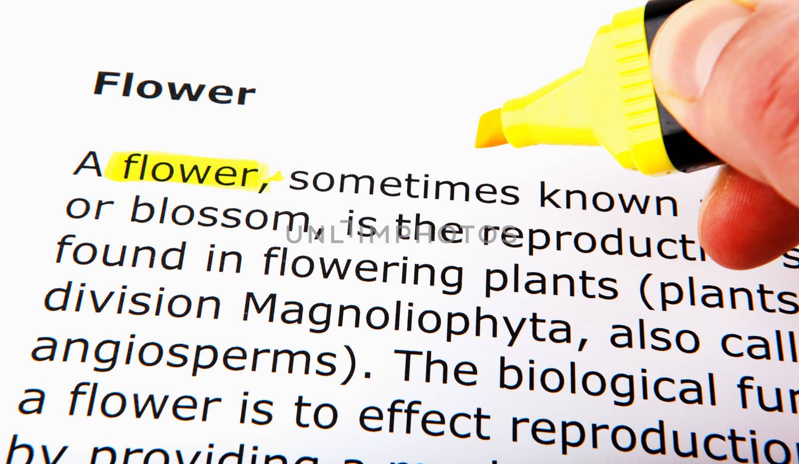 Text highlighted in yellow with felt tip pen
