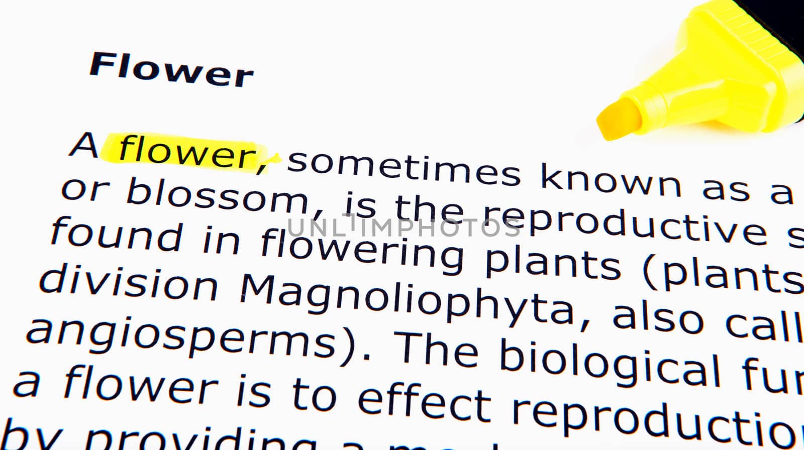 Text highlighted in yellow with felt tip pen