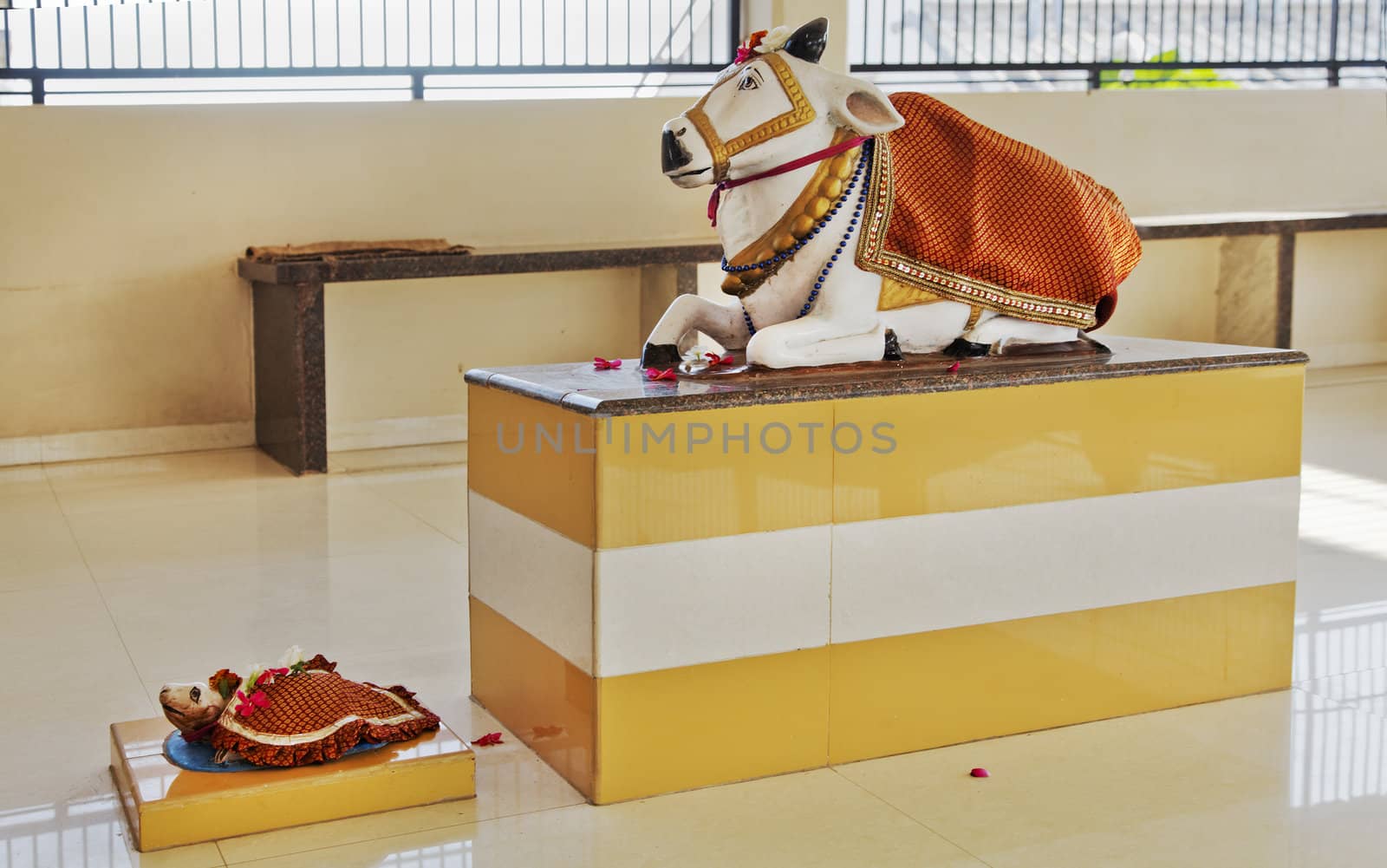 Interior of hindu temple, sculpture of sacred cow, mouse, turtle dressed coverings and hibiscus petals