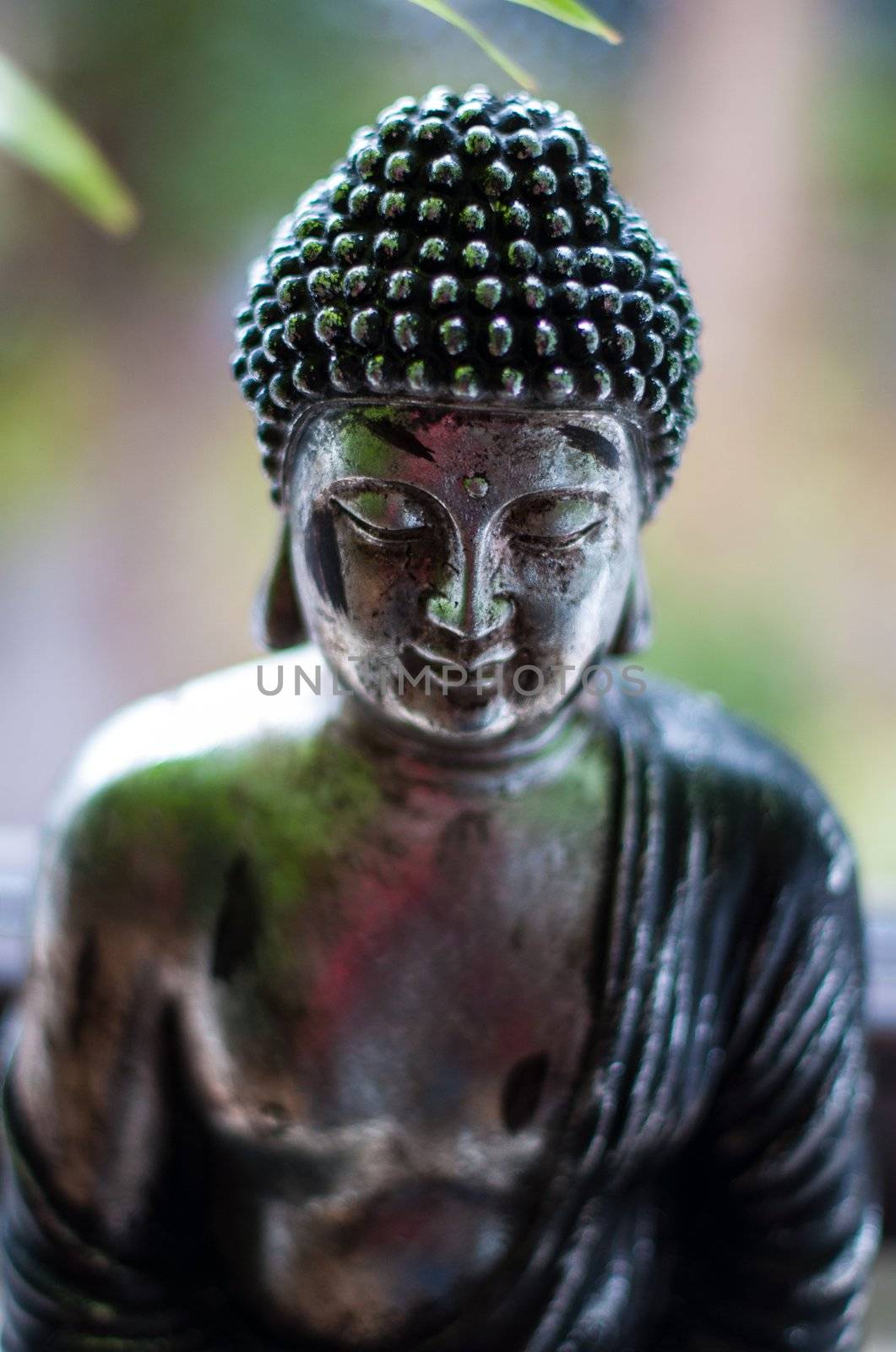 Silver Buddha figure with nature background - face with shallow dof