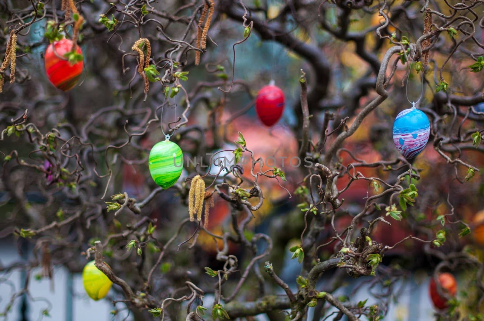 close-up of an easter tree decorated with colorful eggs