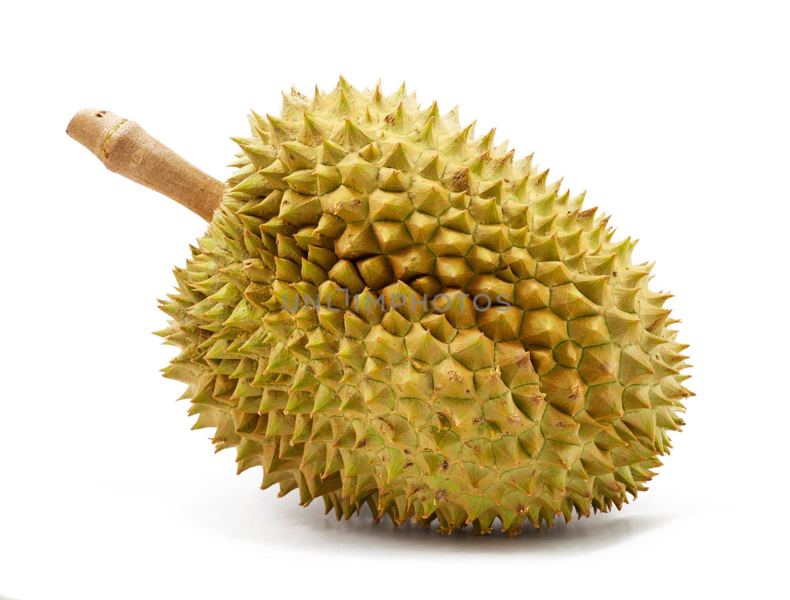 Durian isolated on white background